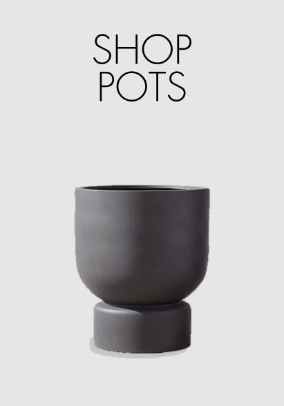 POTS